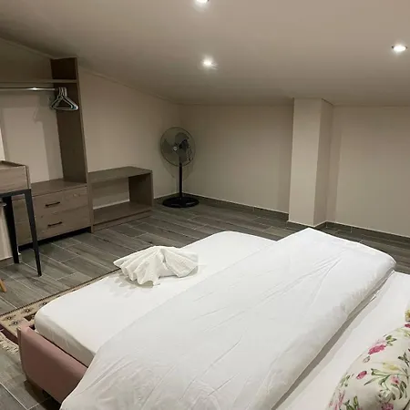 Aretoysa Center Luxury 2 公寓 Néa Péramos